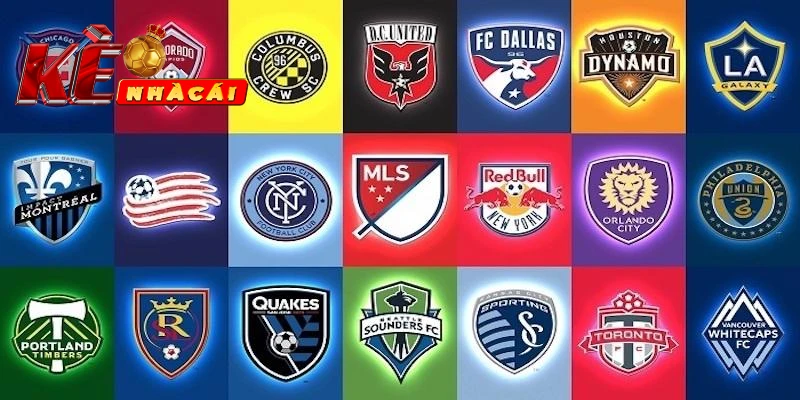 Các bước soi kèo chuẩn khi soi kèo bóng đá Mỹ MLS